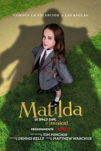 Póster de Matilda de Roald Dahl, el musical