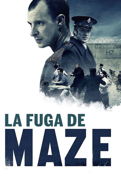 Póster de Maze