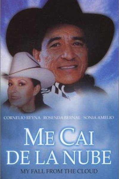 Póster de Me caí de la nube