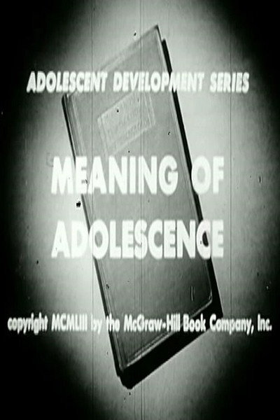 Póster de Meaning of Adolescence