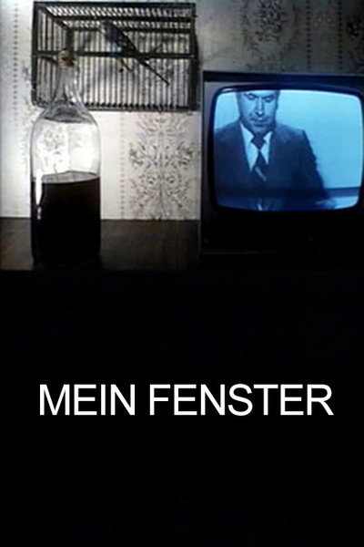 Póster de Mein Fenster