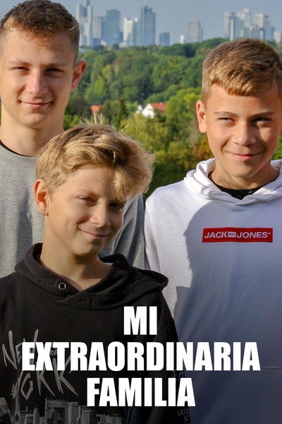 Póster de Meine alles außer gewöhnliche Familie
