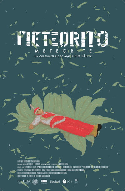 Póster de Meteorite