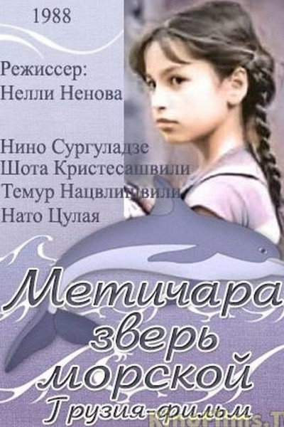 Póster de Metichara
