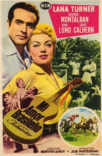 Póster de Mi amor brasileño