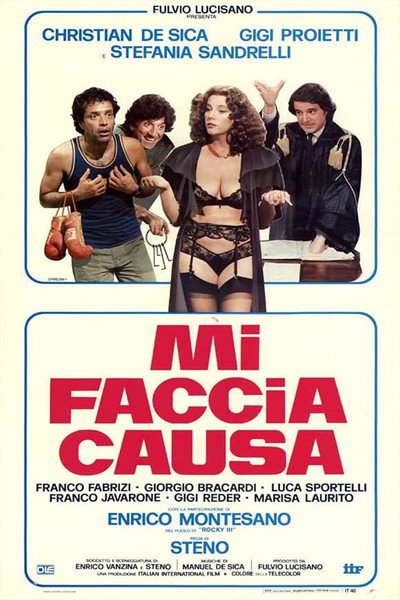 Póster de Mi faccia causa