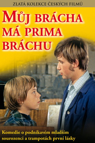 Póster de Mi hermano tiene un hermano estupendo