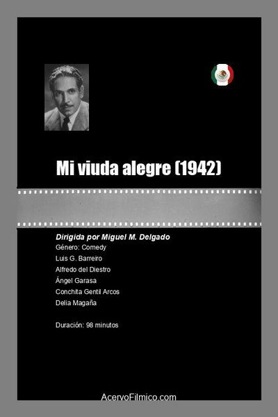 Póster de Mi viuda alegre