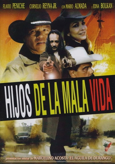 Póster de Miguel y Silvano