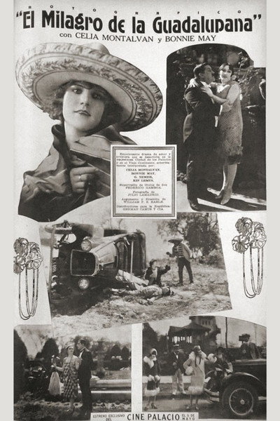Póster de Milagros de la Guadalupana