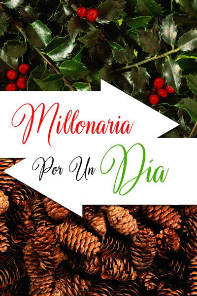 Póster de Millonaria por un día