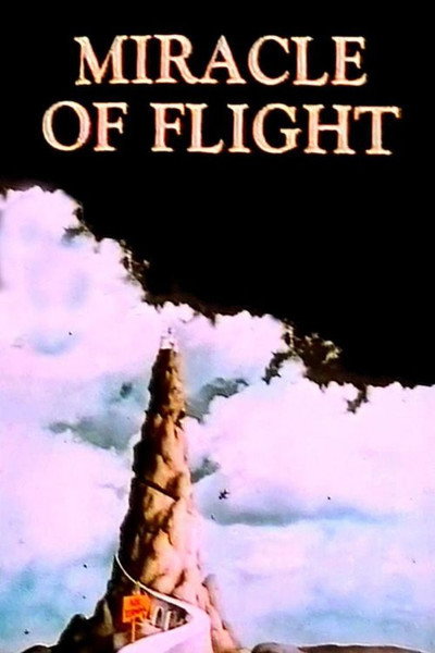 Póster de Miracle of Flight