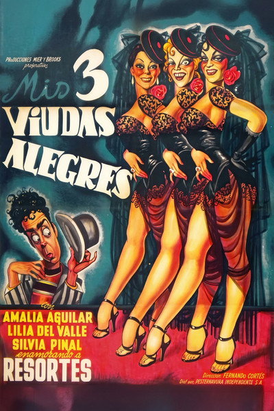 Póster de Mis tres viudas alegres