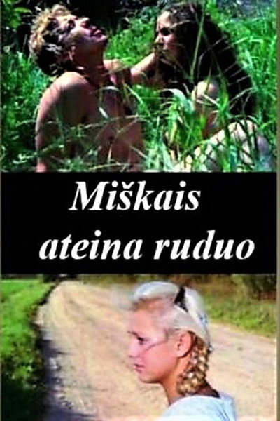 Póster de Miskais ateina ruduo