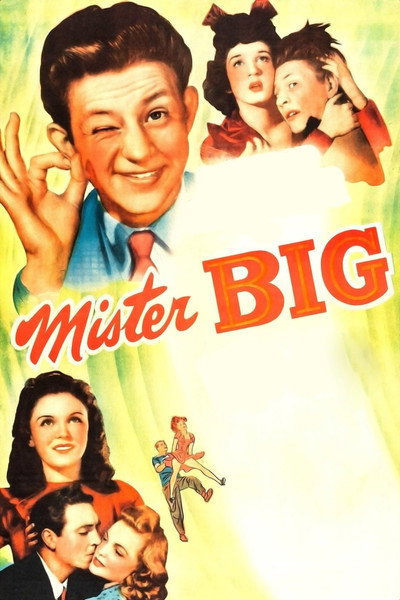 Póster de Mister Big