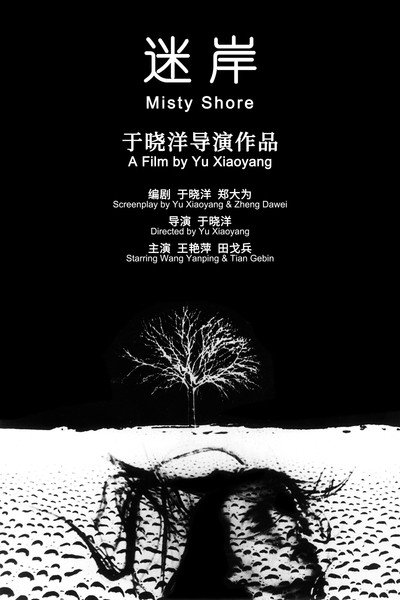 Póster de Misty Shore