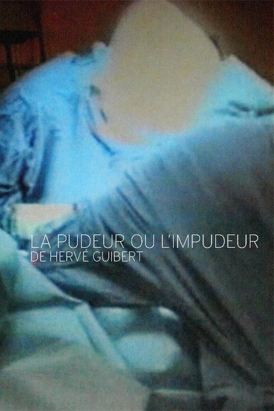 Póster de Modesty and Shame