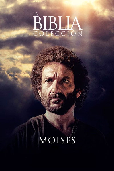 Póster de Moisés