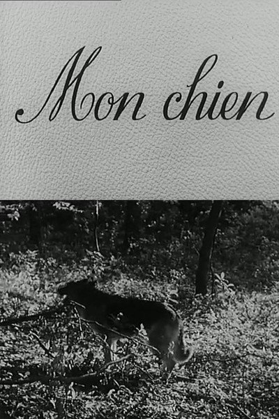 Póster de Mon chien