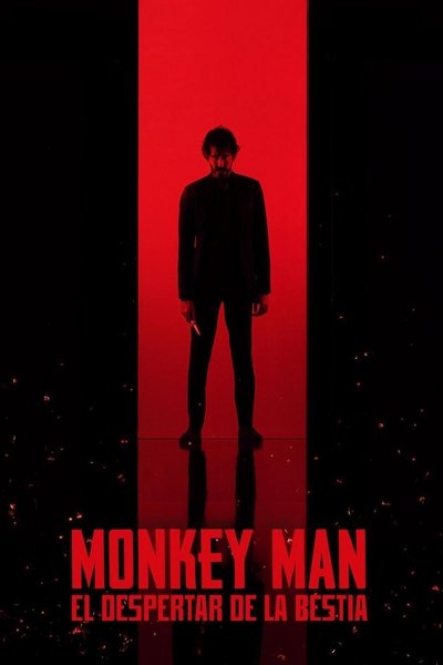 Póster de Monkey Man
