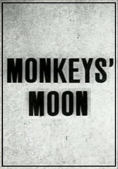 Póster de Monkey's Moon