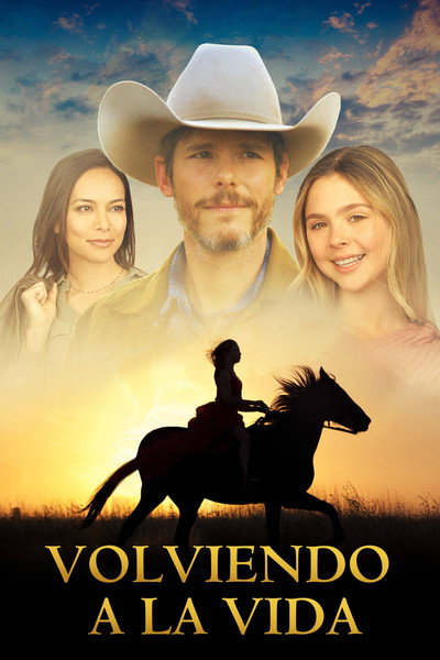 Póster de Moonrise