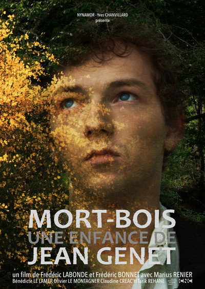 Póster de Mort-Bois