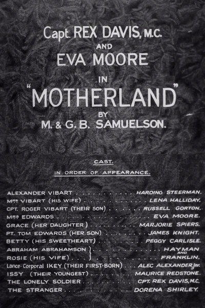 Póster de Motherland