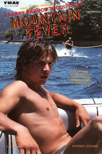 Póster de Mountain Fever