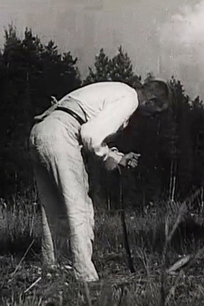 Póster de Mowing the Hay in Old Finnish Fashion