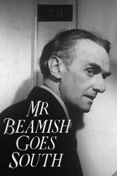 Póster de Mr. Beamish Goes South