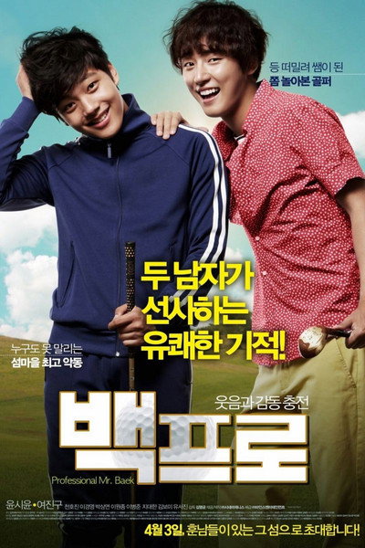 Póster de Mr. Perfect
