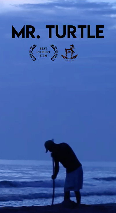 Póster de Mr Turtle