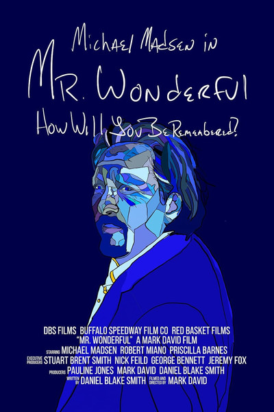Póster de Mr. Wonderful