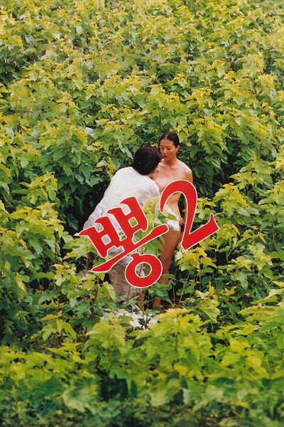 Póster de Mulberry 2