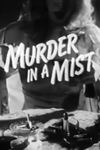 Póster de Murder in the Mist