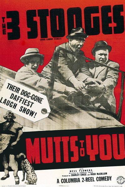 Póster de Mutts to You