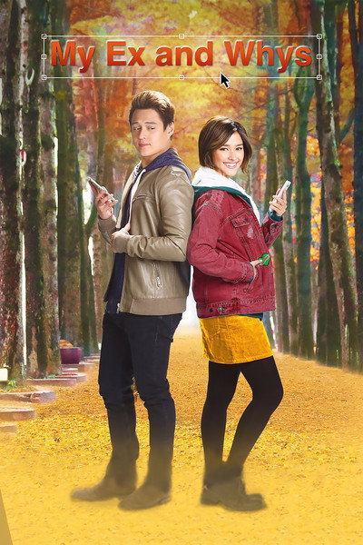 Póster de My Ex and Whys