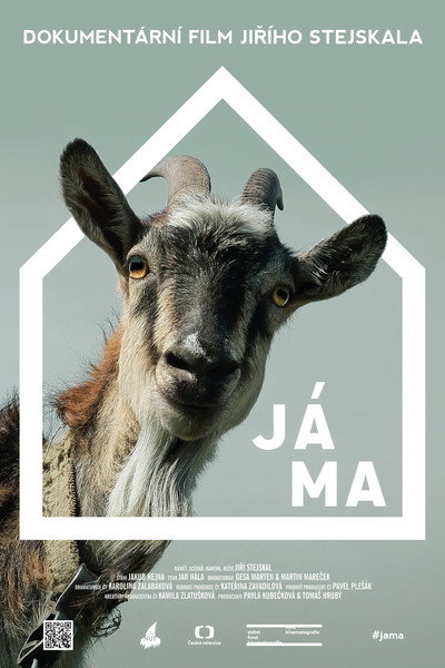 Póster de My Home