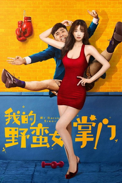 Póster de My Kungfu Girlfriend