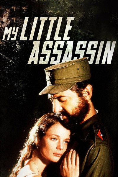 Póster de My Little Assassin