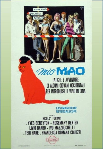Póster de My Mao