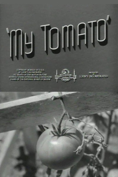 Póster de My Tomato