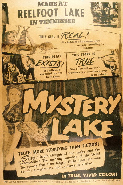 Póster de Mystery Lake