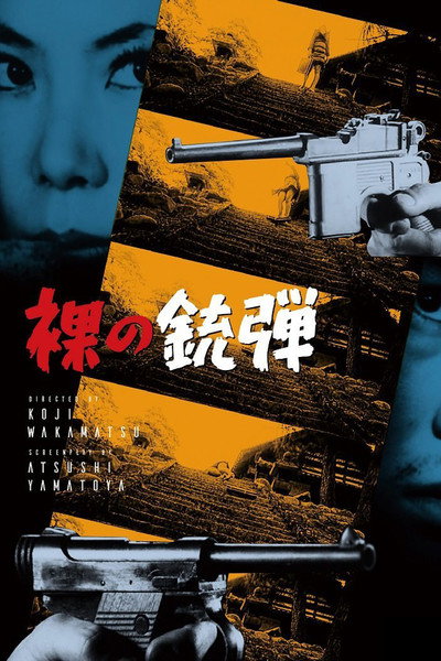 Póster de Naked Bullet