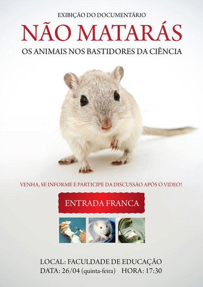Póster de Não Matarás