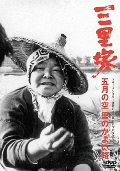 Póster de Narita: The Sky of May