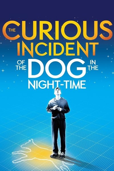 Póster de National Theatre Live: The Curious Incident of the Dog in the Night-Time