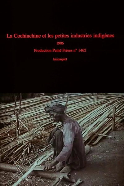 Póster de Native Industries in Cochin, China