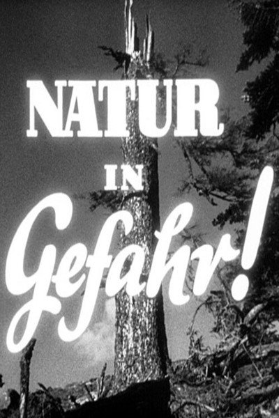 Póster de Nature in Danger